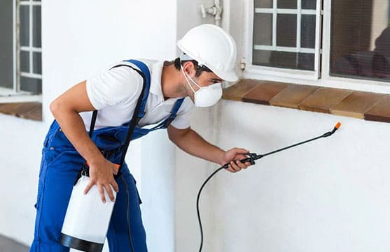 Pest Control Service
